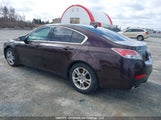 Acura Tl 19UUA86239A800497 снимка