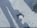 Kia Soul KNDJT2A63D7585051 снимка