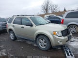 Ford Escape Xlt 1FMCU9DG4CKA05039 fotografie