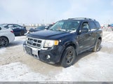 Ford Escape Hybrid 1FMCU49H68KE81319 снимка