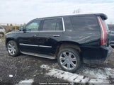 Cadillac Escalade 1GYS4CKJ6GR456783 photo