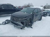 Hyundai Tucson 3KMJCCDE6TE030521 снимка