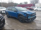 Subaru Outback Wilderness 4S4BTHTD8R3204159 снимка