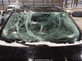 Honda Pilot Exln 5FNYF6H75HB502344 снимка