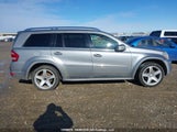Mercedes-Benz Gl 350 Bluetec 4Matic 4JGBF2FE1CA784981 снимка
