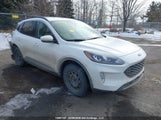 Ford Escape Phev Sel 1FMCU0KZ5MUA53252 снимка