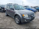 Ford Escape Xlt 1FMCU0DG3AKC70169 снимка