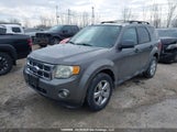 Ford Escape Xlt 1FMCU0DG3AKC70169 снимка