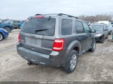 Ford Escape Xlt 1FMCU0DG3AKC70169 снимка