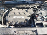Honda Accord Crosstour Ex-L 5J6TF2H51AL800338 снимка