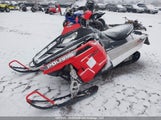 Polaris SN1CP6GS2GC155559 снимка