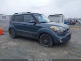 Kia Soul 2.0L 2U/2.0L 4U/2.0L 4U Burner/2.0L 4U Luxury/2.0L 4U Retro KNDJT2A66D7490113 снимка