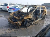 Nissan Rogue Platinum JN8BT3DD9RW250141 снимка