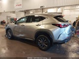 Lexus Nx 250 2T2ADCEZ5NC002532 fotografie