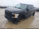 Ford F-150 Xlt 1FTEW1EP3KKC56849 снимка