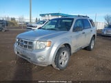 Ford Escape Xlt 1FMCU93168KA93886 снимка