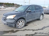 Honda Cr-V Ex-L 5J6RE487X7L808442 photo