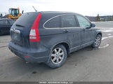 Honda Cr-V Ex-L 5J6RE487X7L808442 photo