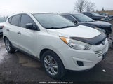 Hyundai Tucson KM8JT3AC2DU556469 снимка