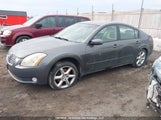 Nissan Maxima Se/Sl 1N4BA41E65C804791 снимка
