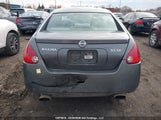 Nissan Maxima Se/Sl 1N4BA41E65C804791 снимка