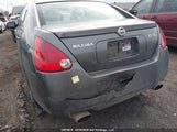 Nissan Maxima Se/Sl 1N4BA41E65C804791 снимка