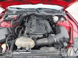 Ford Mustang Ecoboost 1FA6P8TH8K5203591 снимка