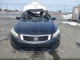 Honda Accord Ex-L V6 5KBCP3F83AB501038 снимка