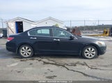 Honda Accord Ex-L V6 5KBCP3F83AB501038 снимка