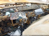 Toyota Tacoma Double Cab/Sr5/Trd Sport/Trd Off Road 5TFDZ5BN4LX051834 photo
