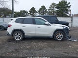 BMW X1 xDrive28I WBX73EF0XP5W32384 снимка