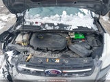 Ford Escape Se 1FMCU0GX5EUA47928 снимка
