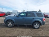 Ford Escape Xlt 1FMCU9DG9BKB07323 снимка