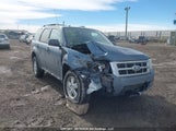 Ford Escape Xlt 1FMCU9DG9BKB07323 fotografie