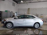 Toyota Corolla L/Le/Xle/Se/Xse 2T1BURHEXJC109980 photo