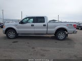 Ford F-150 Fx4/Harley-Davidson/Lariat/Xlt 1FTFW1EV8AFC00822 fotografie