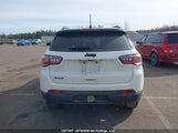 Jeep Compass 80Th Edition 3C4NJDEB8MT538085 fotografie