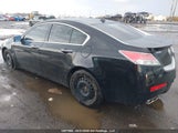 Acura Tl 19UUA9E50AA800706 снимка