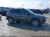 Volkswagen Tiguan Comfortline/Highline/Special Edition WVGJV7AX3GW617454 photo