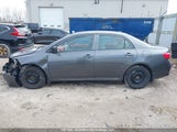 Toyota Corolla S/Le/Xle 2T1BU4EE4AC436432 снимка