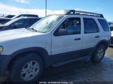 Ford Escape Xlt 1FMYU931X6KA15629 снимка
