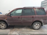 Honda Pilot Se-L 5FNYF18608B501550 снимка