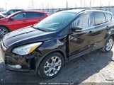 Ford Escape Sel 1FMCU9H91DUA44382 снимка