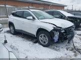 Hyundai Tucson Preferred 3KMJBCDE8TE037005 fotografie