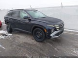 Hyundai Tucson Hybrid KM8JDDD21SU334153 photo