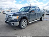 Ford F-150 Xlt 1FTFW1ET3DFC83188 снимка