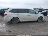Honda Odyssey Ex-L 5FNRL5H69GB509665 снимка