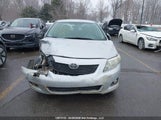 Toyota Corolla Le 2T1BU4EE2AC221843 снимка