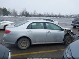 Toyota Corolla Le 2T1BU4EE2AC221843 fotografie