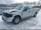 Ford F-150 Stx 1FTFX1CF2DKD74924 fotografie